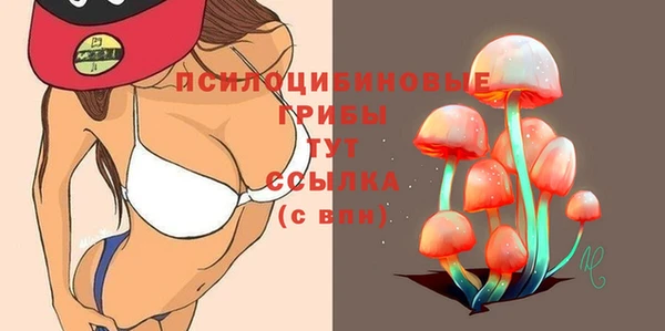 амфетамин Богородицк