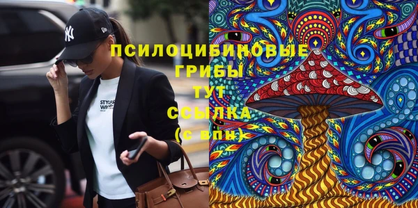 первитин Богородск